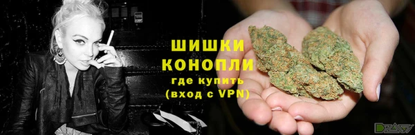 мдпв Липки